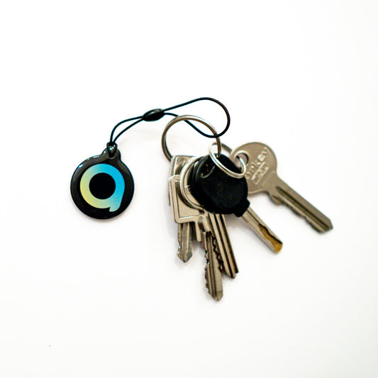 Bild eines Transponder-Schlüsselanhängers mit zusätzlich abgebildeten Schlüsseln in runder Form